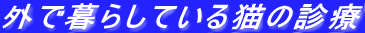 OL̐f