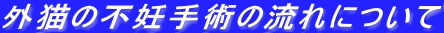 OLsDp